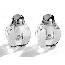 Set of 2 Salt Shakers